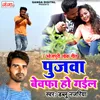 About Pujawa Bewafa Ho Gail Song